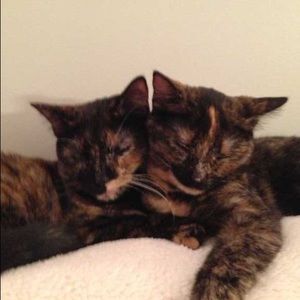 Meet your Posher, Christy